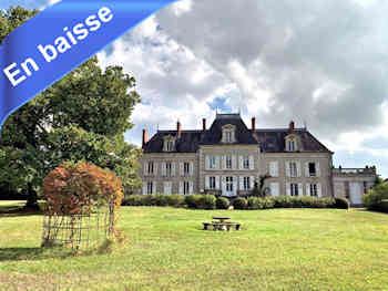 Château XIXe à vendre entre Nevers et Moulins: env. 550 m² hab, 21 pièces, dépendances, parc, bois, bosquets, prairies, sur plus de 7 ha libres